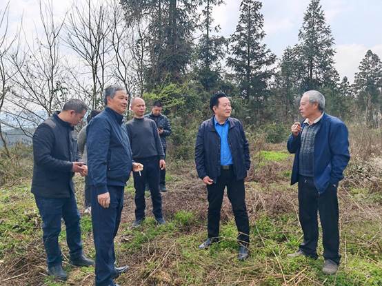 0808afcb1833e404c158d326fde9d317